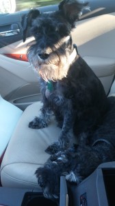 Wake me when we get there. (nnon)