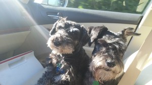Are we there yet?