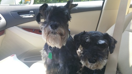Yay! Road trip!
