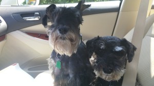 Yay! Road trip!