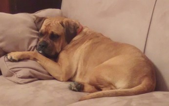 My BFF Piper left me.