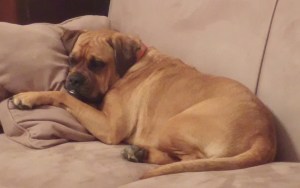 My BFF Piper left me.