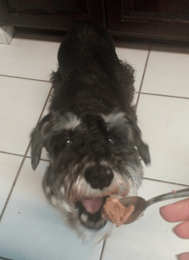 Gimme that food! Mmmm.