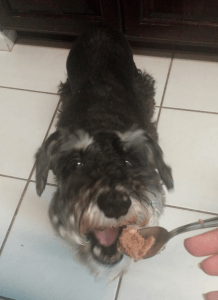 Gimme that food! Mmmm.