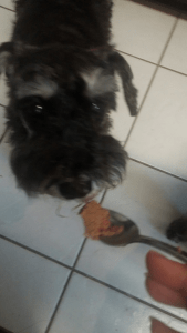 What is this swill you try to feed me!?
