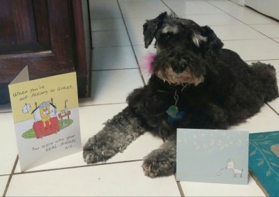 Lexi with cards