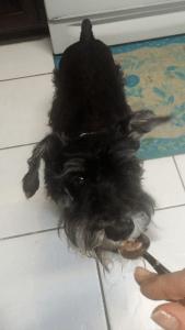 Mmmm...food! Yummy!