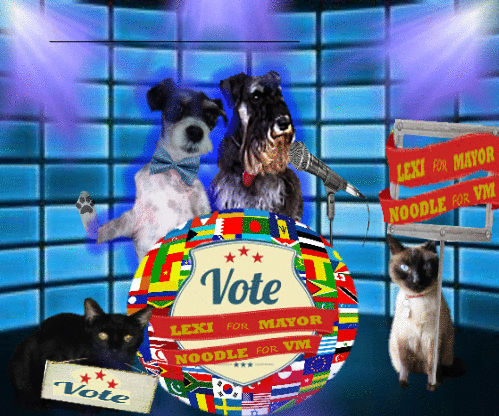 VM pic with all animated - Copy