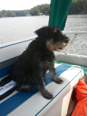 Lexi on boat seat
