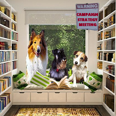 Lassie-Eddie books campaign