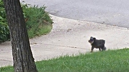 Dad, are you going to wait for me?