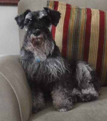 Lexi in chair