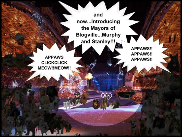 MayorzIntro