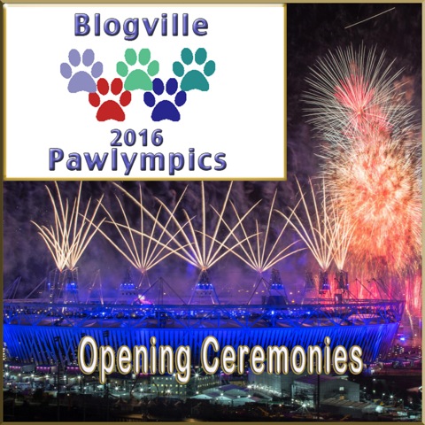 OpeningCeremoniesSign (1)