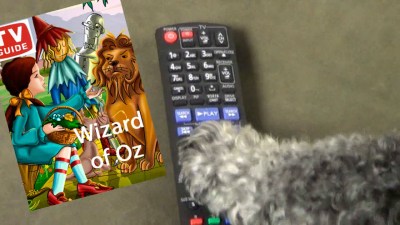 Paw on Remote Frame
