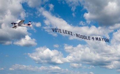 sky writing vote
