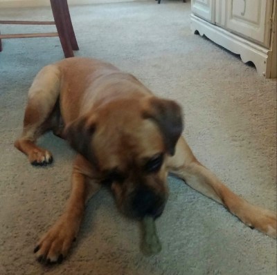 I would share this treat with you, Lexi.