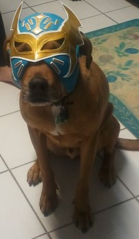 Riley with mask