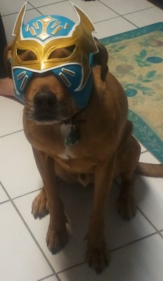 Riley with mask