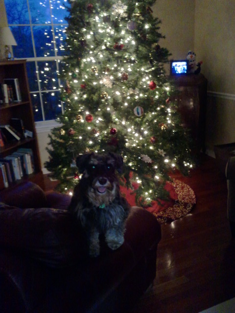 Christmas tree-Lexi