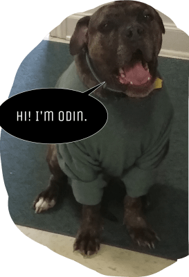 Odin