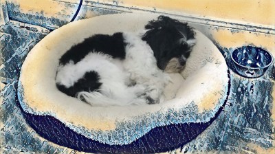 Gracy in her bed