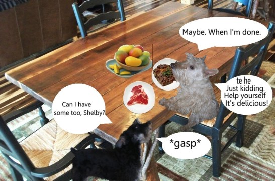 eating-with-speech-bubbles