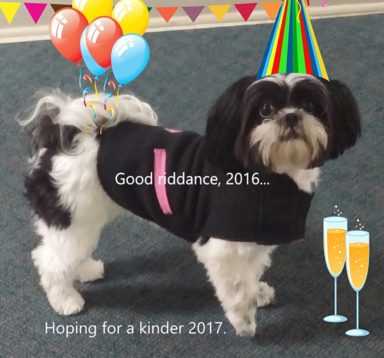 gracie-nye-2016