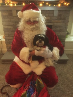 gracie-with-santa