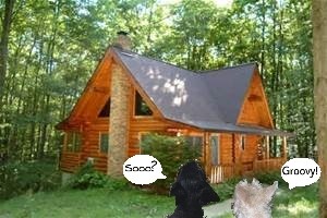 piper-shelby-at-cabin-front-with-speech-bubble
