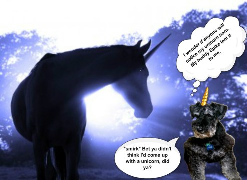 lexi-with-unicorn-horn-and-text