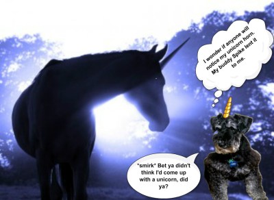 lexi-with-unicorn-horn-and-text