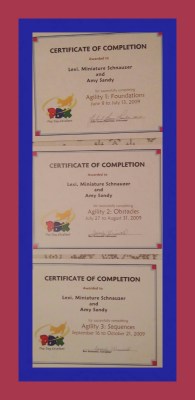 pdx-certs-2