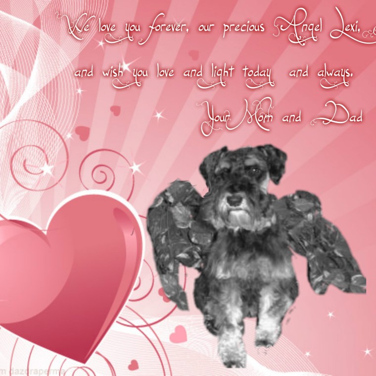valentine-card-angel-lexi