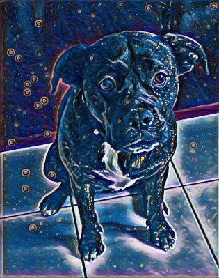 Lucy, who is going after the Van Gogh look