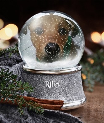riley-in-snow-globe