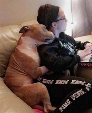 woman-shelter-dog-rescue-hug-today