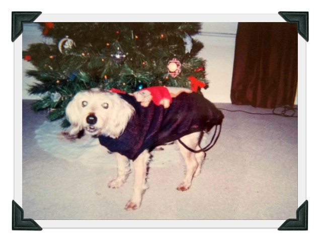 Sammy Christmas 2002 edited 2