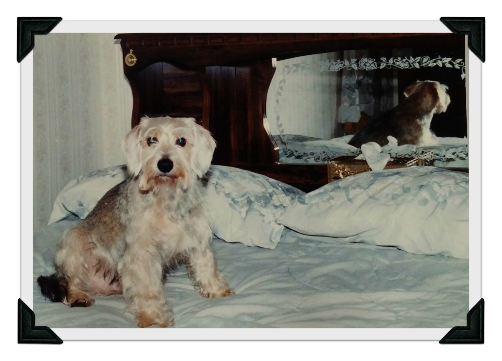 Sammy Dec 1999 edited