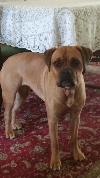 Ella