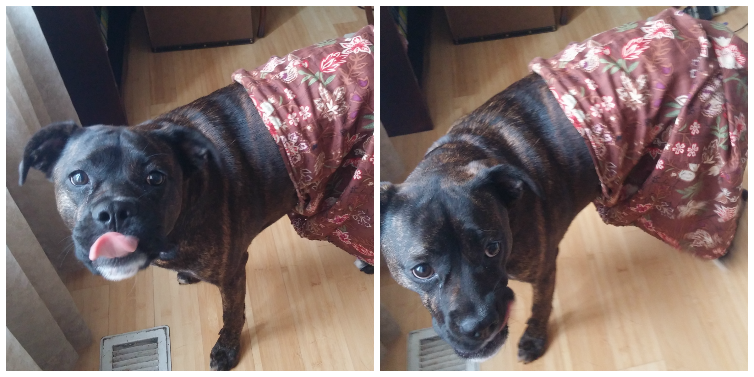 Lucy dress up collage 2