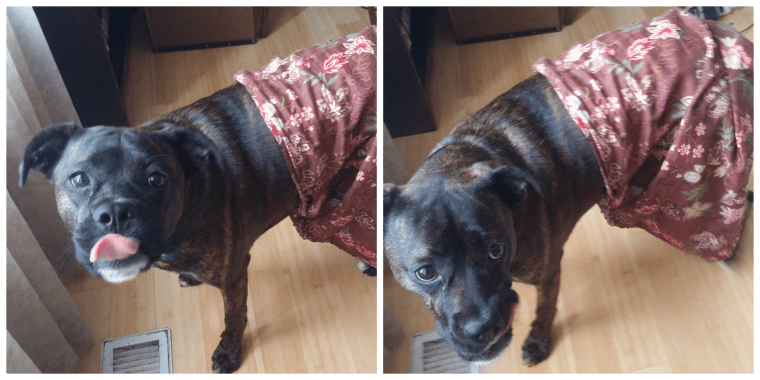 Lucy dress up collage 2