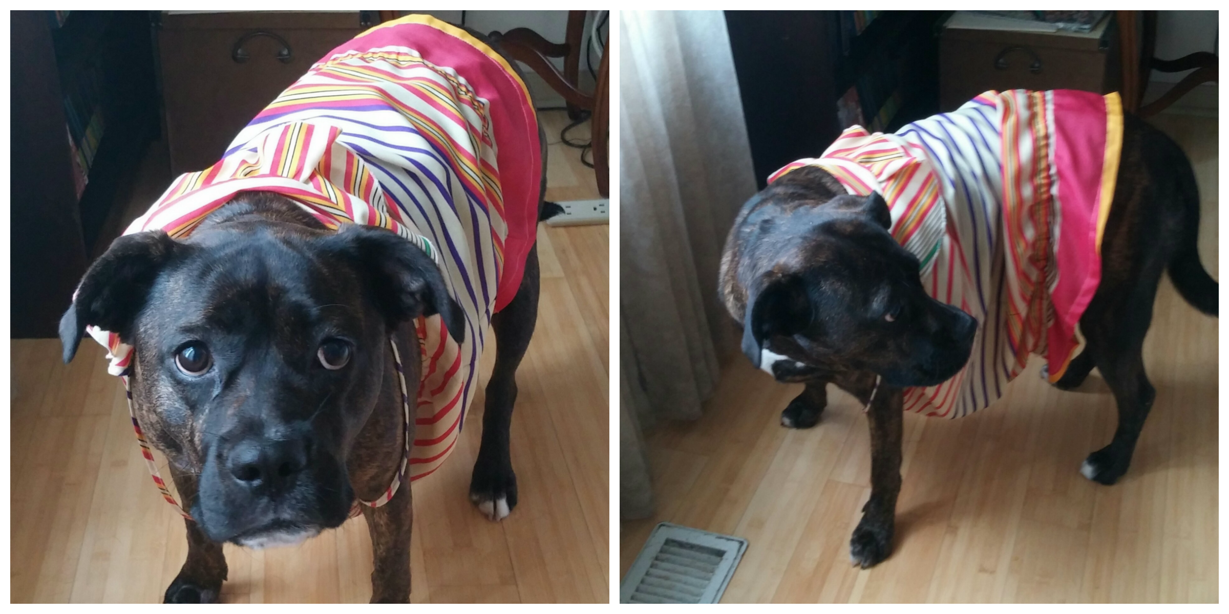 Lucy dress up collage 3