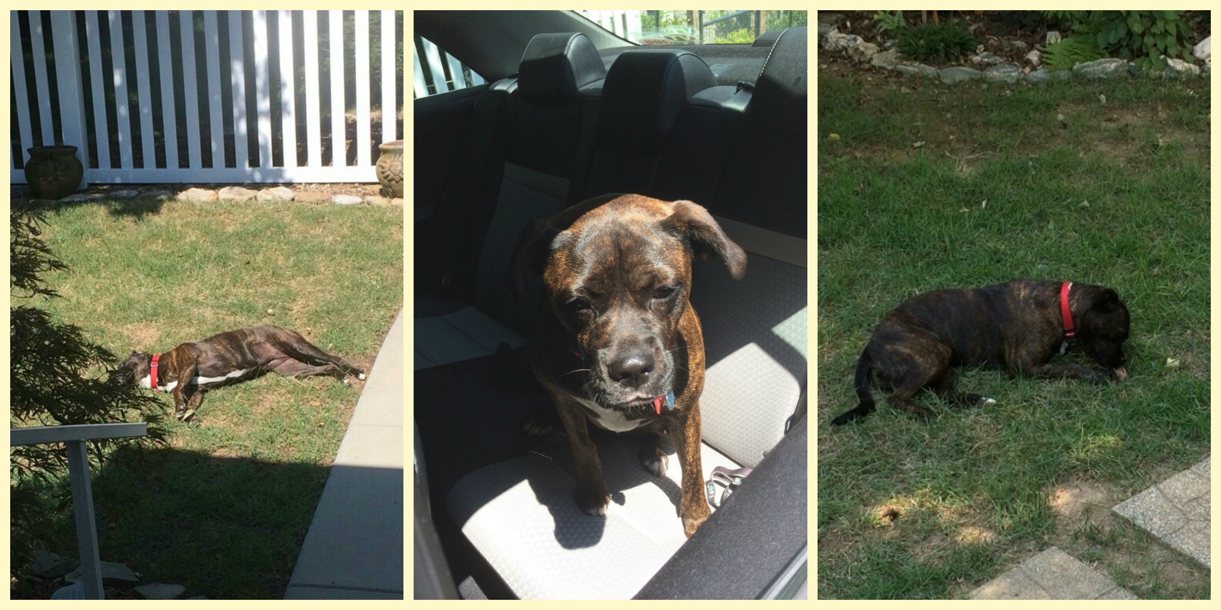 Lucy at Marthas collage 3