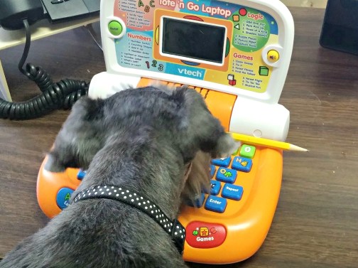 Xena on her puter at St Luke