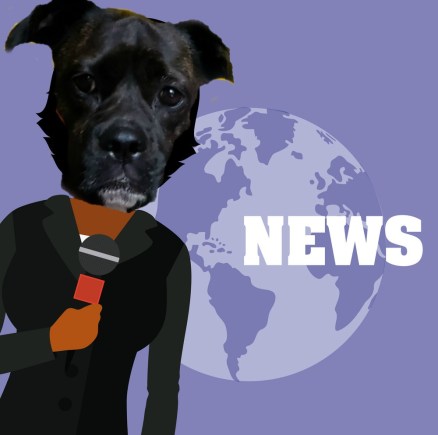 lucy ace reporter
